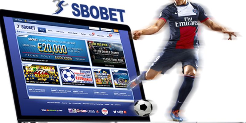 Những điều cần lưu ý khi thực hiện cá cược tại thể thao Kubet 