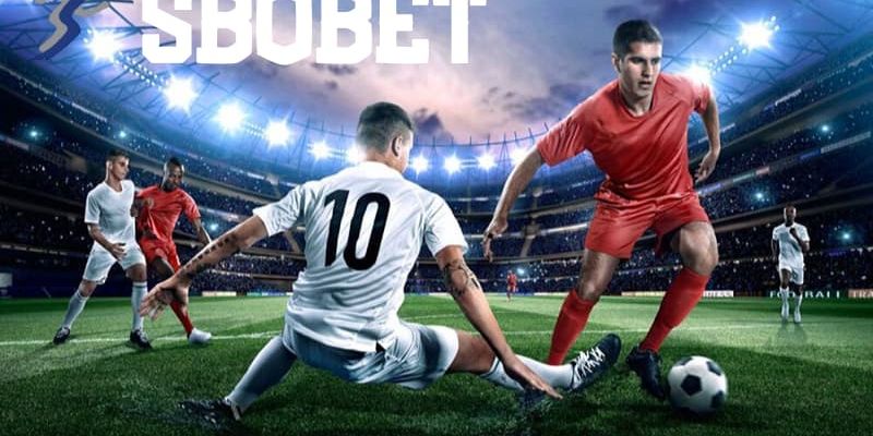 Những lý do giúp anh em lựa chọn đúng đắn tại Kubet 