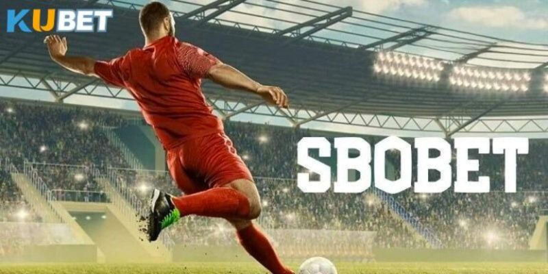 khám phá thế giới thể thao đổi thưởng mới tại Kubet 